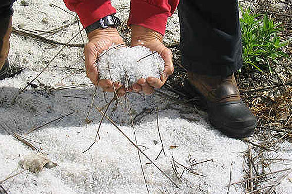 Nurdles covered beach